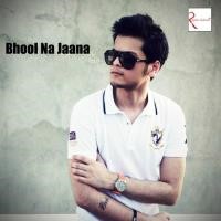 Bhool Na Jaana Song Poster