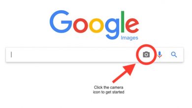 Photo of Google Image Search is more accurate for finding pictures!