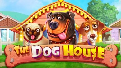 Photo of How And Why You Should Play Slot The Dog House?