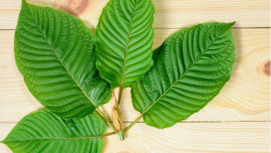 Photo of Kratom types discussed in detail along with the recommended vendor, the golden monk