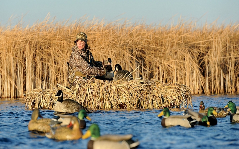 Hunting Decoys