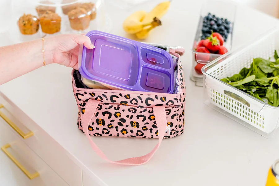 Routine Lunch Bag Maintenance An Efficient and Thorough Method to Keep Lunch Bags Clean